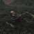 "Creepy Crawler" icon
